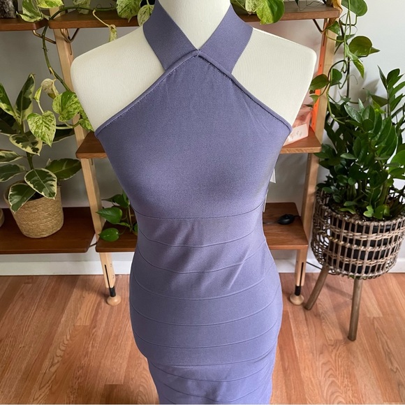 Herve Leger Purple Maxi Dress - Picture 7 of 13